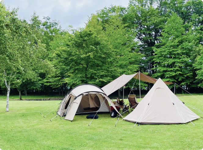 ファミリーサイト